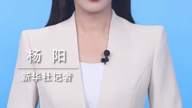 北京数字化解决方案：定制化报价背后的考量因素