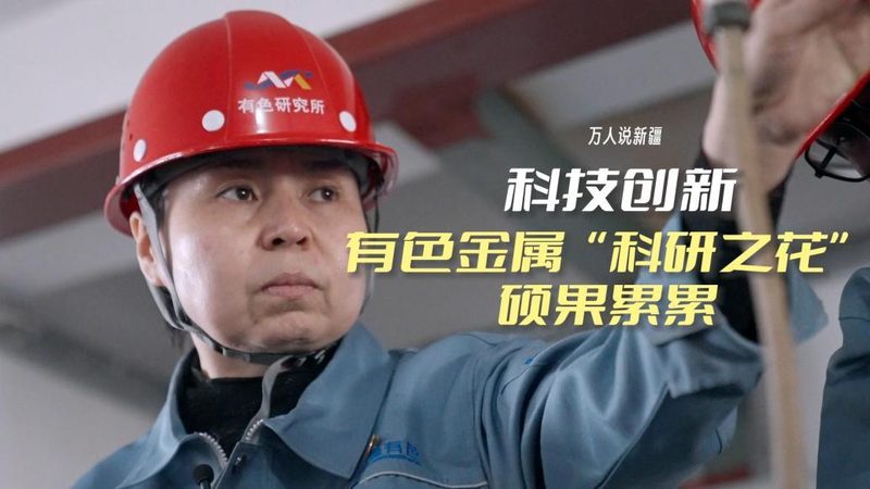 企业搜索系统：价格背后的考量因素